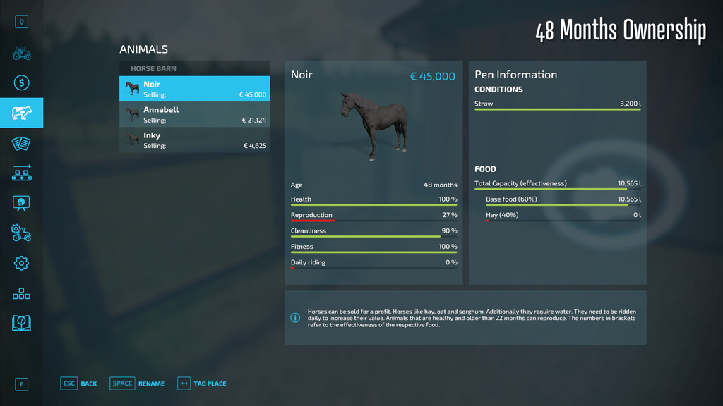 Horse Resell Value