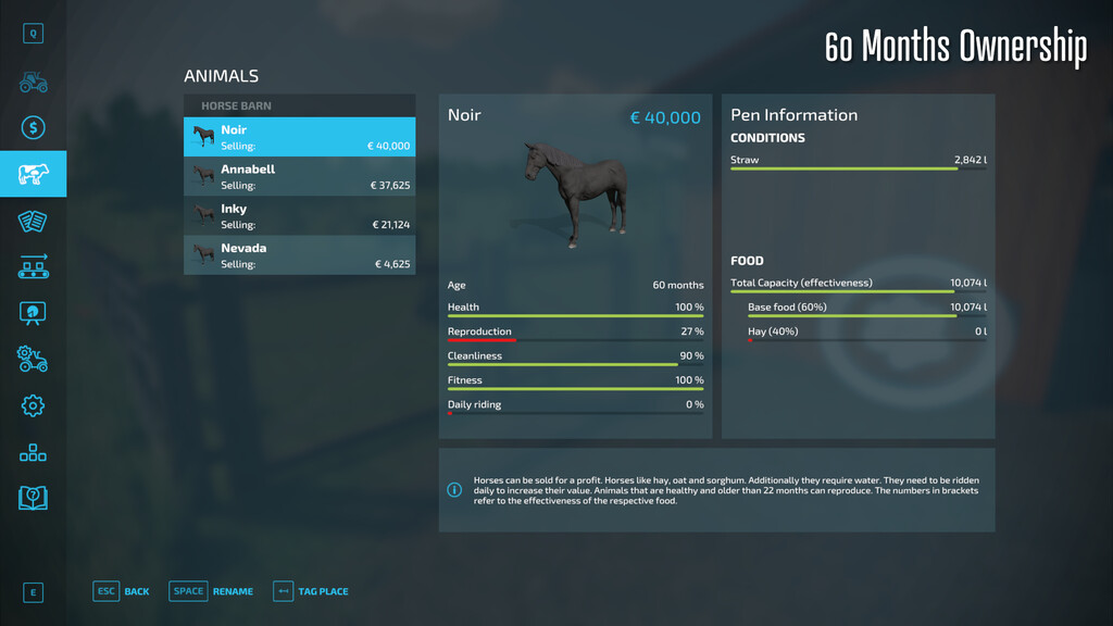 Horse Resell Value