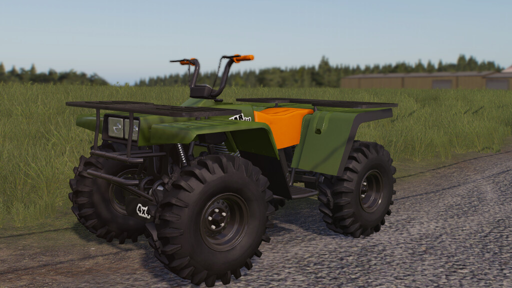 Lizard Quad Bear 350 4x4