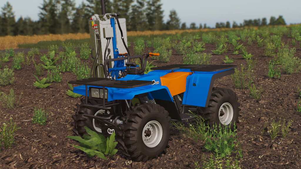 Lizard Quad Bear 350 4x4