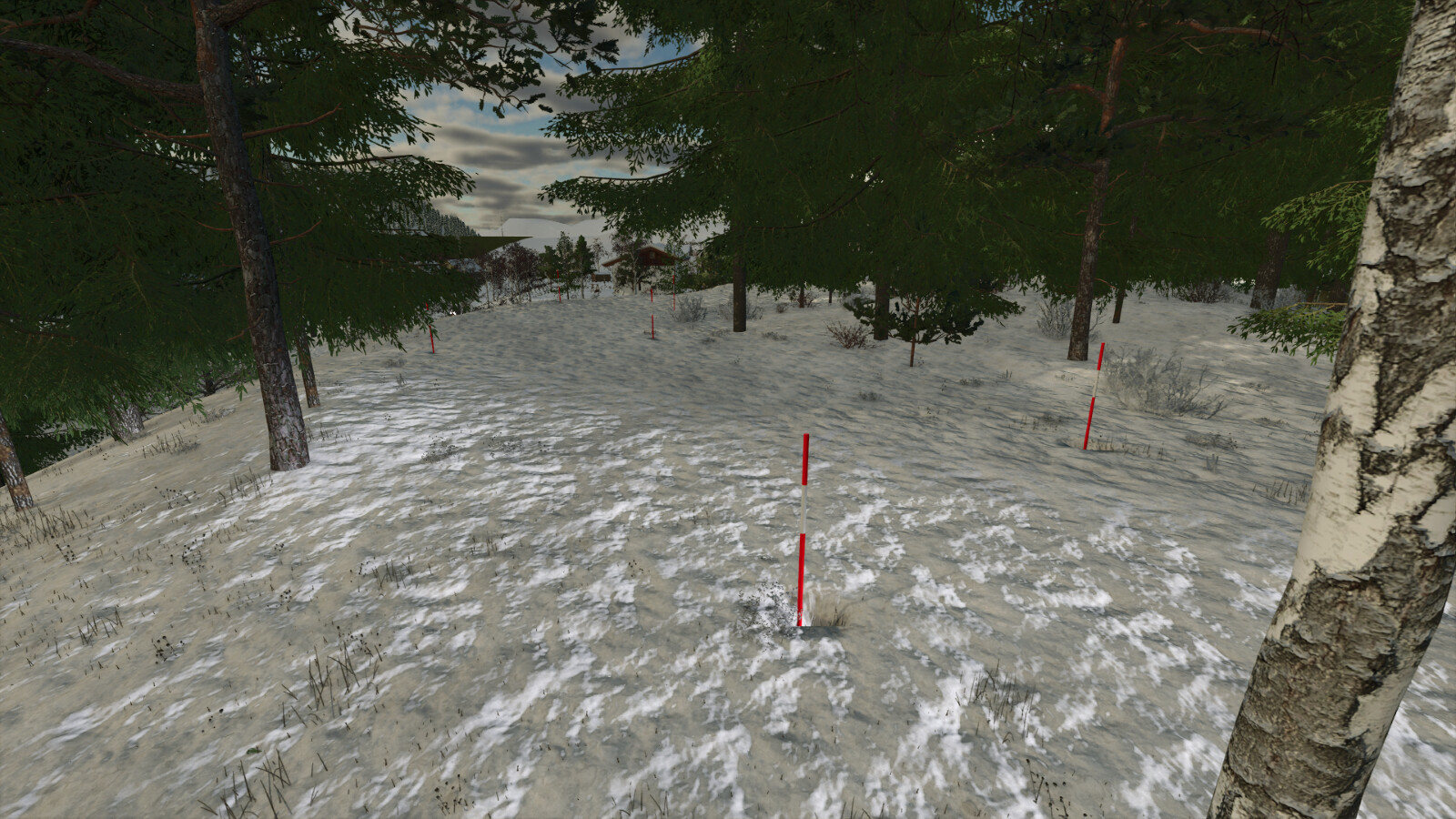 Swedish Snow Pole