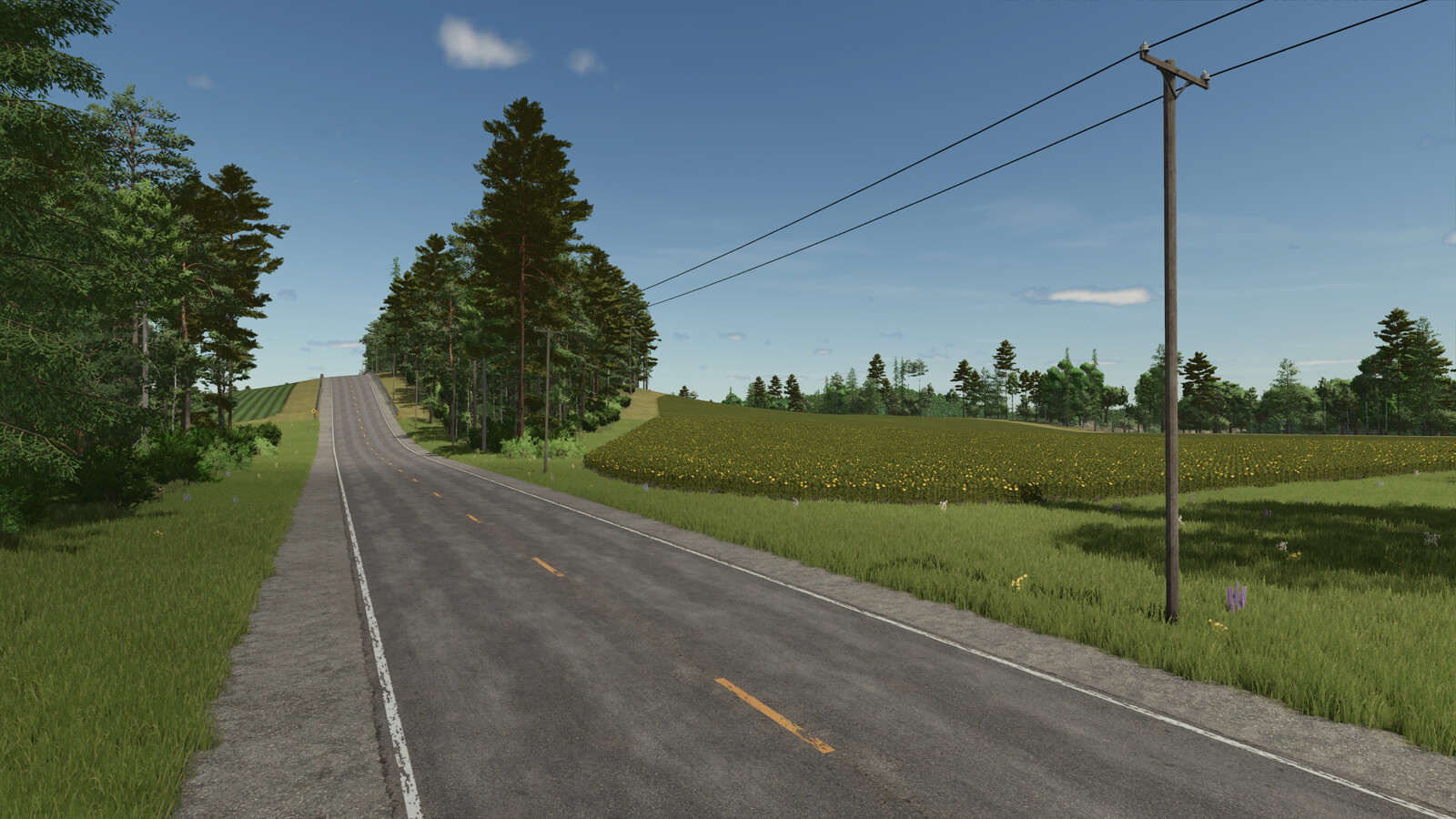 Back Roads County