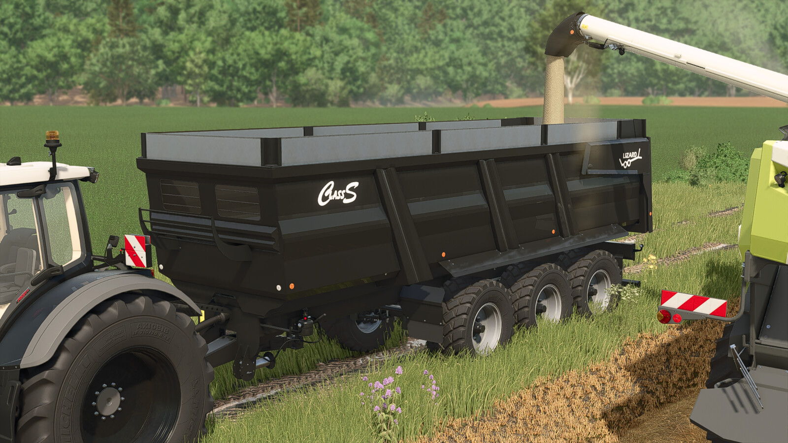 Lizard Class S Pack