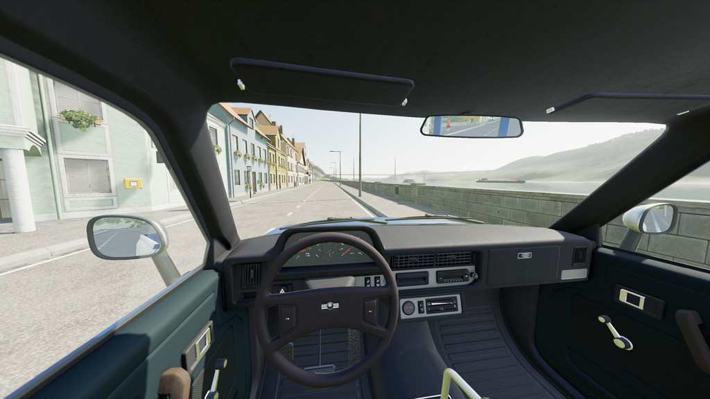 Adjustable Mirrors