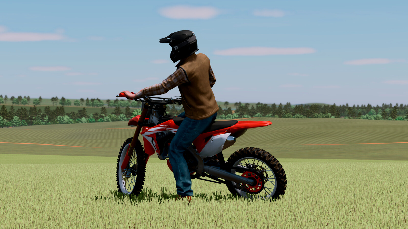 LIZARD CRF 450R