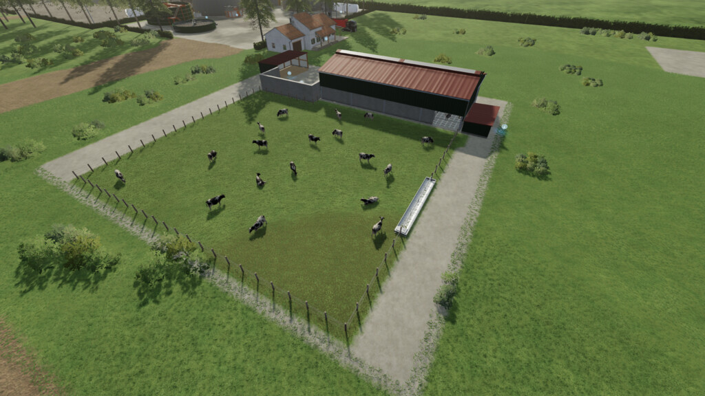 Cow Pasture