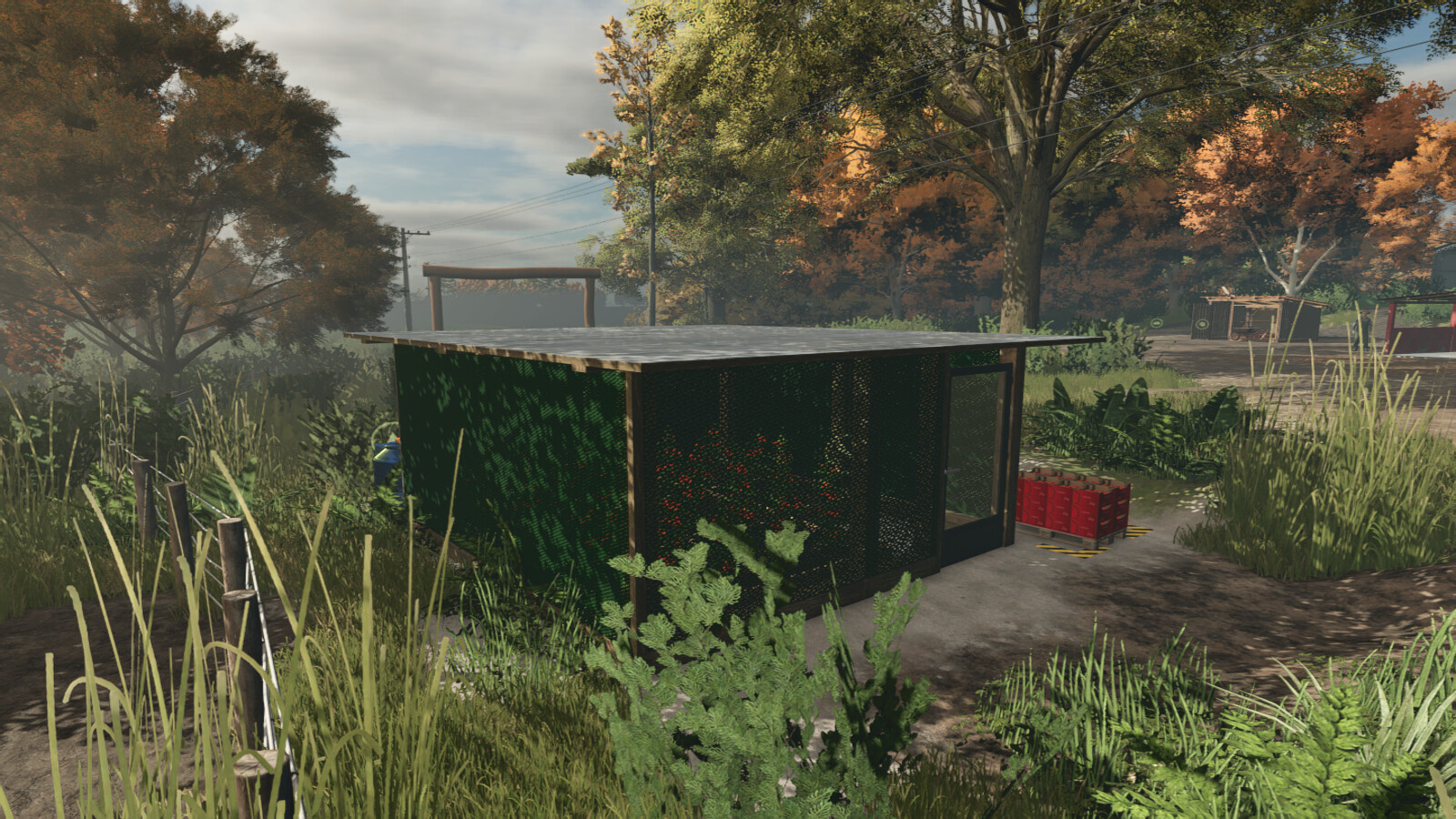 Small Greenhouse BR